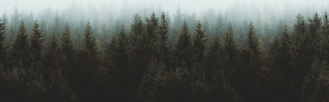 EcoOuterlands™ Men's & Women's Jackets made from Recycled Materials